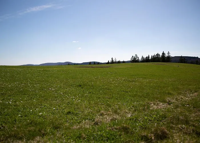 Sauerlandrefugium Appartement